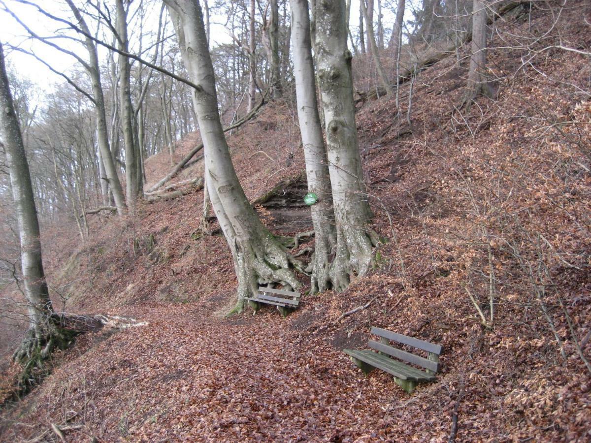 In Der Vulkaneifel